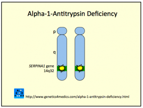 déficit en alpha-1-antitrypsine3__protectwyjqcm90zwn0il0_focusfillwzi5ncwymjisingildfd-8293315-7131158