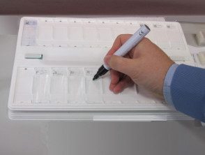 2. Se utiliza un bolígrafo especial para dibujar un perímetro para mantener los reactivos dentro de la diapositiva.
