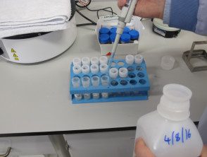 Preparando los reactivos para la fluorescencia inmune directa