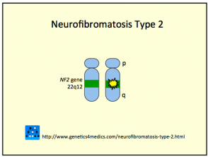 neurofibromatosis-type-2__protectwyjqcm90zwn0il0_focusfillwzi5ncwymjisingildfd-7216800-9071850